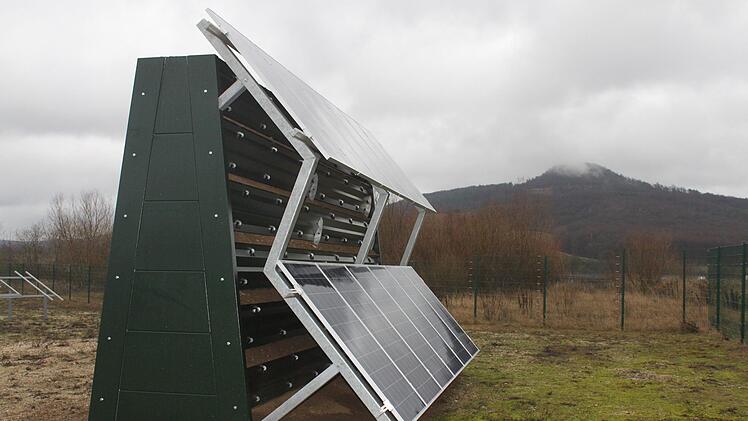 Die Module  sind in einer Neigung von 50 Grad angebracht.Foto: Stefanie Gleixner