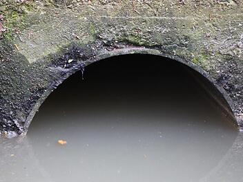 Wird das Abwasser in Zukunft zentral aufbereitet? Die Gemeinden entlang der Sinn denken über eine Kooperation nach. Foto: Ulrike Müller