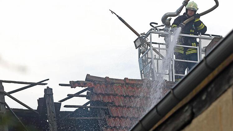 Foto: News5 / Herse