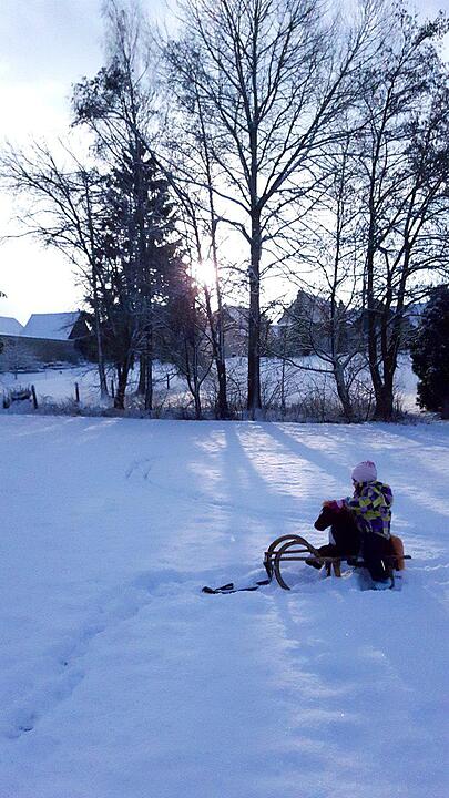 Schnee und Eis - Die schönsten Aufnahmen aus Franken