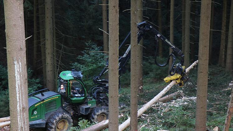 Der Harvester fällt und schält den Baum.  Die  Rinde und die Käferlarven vertrocknen. Foto: Christian Schuberth