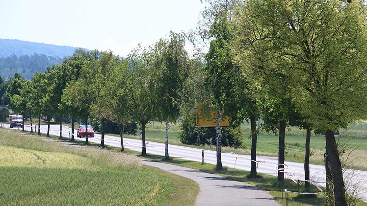 Mit Trassierbändern werden die Benutzer des Rad- und Gehwegs am Frankenring auf die gefährlichen Raupen aufmerksam gemacht.Matthias Einwag