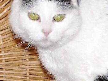 Konrad in seinem Element Foto: privat