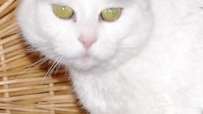 Konrad in seinem Element Foto: privat