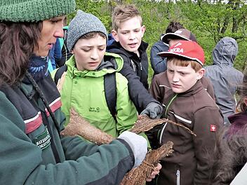 Forstbeamtin Anja Mörtlbauer führte die Schüler zu den Katastrophenflächen oberhalb der Kreisstraße, die von Wirsberg nach Neufang führt, und zeigt hier Überreste vom Borkenkäfer, der den gesamten Wald vernichtet hat. Fotos: Werner Reißaus