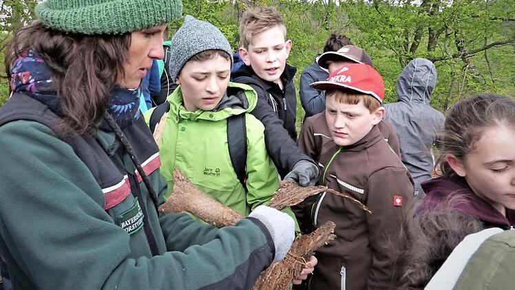 Forstbeamtin Anja Mörtlbauer führte die Schüler zu den Katastrophenflächen oberhalb der Kreisstraße, die von Wirsberg nach Neufang führt, und zeigt hier Überreste vom Borkenkäfer, der den gesamten Wald vernichtet hat. Fotos: Werner Reißaus