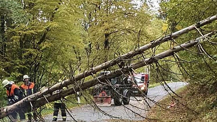 Auf der Gemeindeverbindungsstraße bei Unterdornlach haben umgestürzte Bäume die Fahrbahn blockiert. Die Feuerwehr musste anrücken.