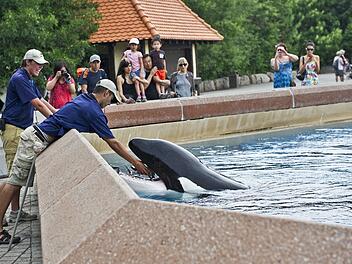Marineland
