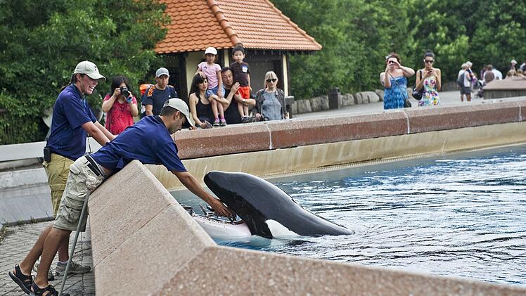 Marineland