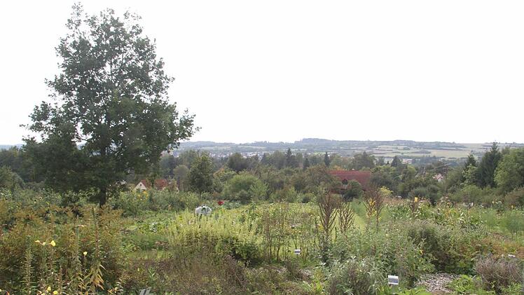 Die Ortsumfahrung würde mitten durch den Kräutergarten führen. In diesem Bereich soll eine Lärmschutzwand gebaut werden.