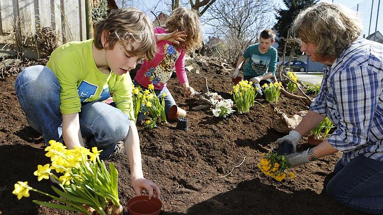 Blumen pflanzen mit den Garten- und Blumenfreunden Katschenreuth-Frankenberg Foto: Matthias Hoch