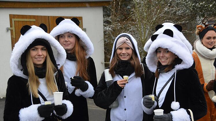 Straßenfasching in Ebenhausen Foto: Peter Rauch