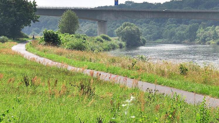 Weil die Gemeinde für die Verlegung des Geh- und Radwegs am Main (im Bild) im Zuge des Ausbaus der Fahrrinne und des Rückbaus des Ufers rund 100 000 Euro bezahlen muss, hat der Bürgermeister eine Förderung bei der Regierung von Unterfranken beantragt. Foto: Ulrike Langer