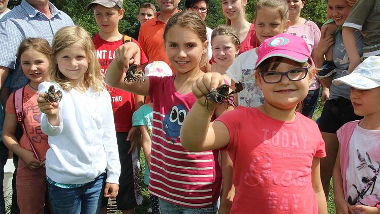 Ohne Scheu und mit Stolz zeigen die jungen Damen die gefangenen Krebse (von links): Julia Grau, Johanna Kotschy und Emma Kanzler. Foto: Michael Stelzner
