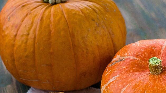 Etwas Sahne, Zimt und fertig ist der perfekte Herbst- und Winterkuchen!