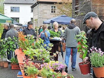 Am Stand der Heidolfs aus Haßfurt findet man immer guten Rat und tolle Exoten, die die beiden Gartenspezialisten herangezogen haben.  Foto: kra