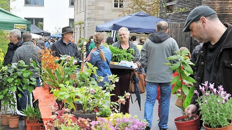 Am Stand der Heidolfs aus Haßfurt findet man immer guten Rat und tolle Exoten, die die beiden Gartenspezialisten herangezogen haben.  Foto: kra