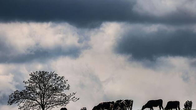 Wetter in der Eifel