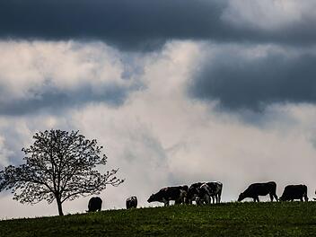 Wetter in der Eifel