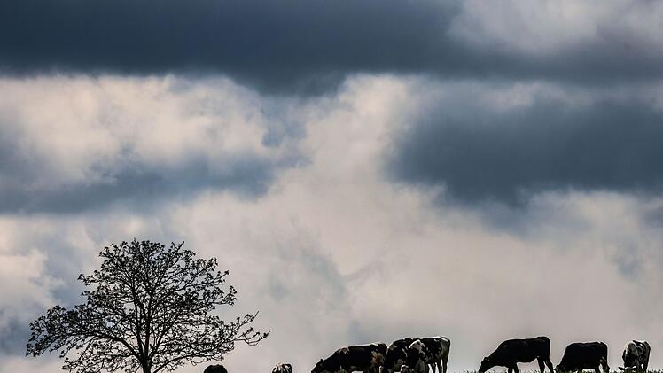 Wetter in der Eifel