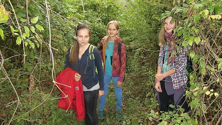 Die Wanderrouten führen die Schatzsucher auch abseits der Wege.  Fotos: Gymnasium Fränkische Schweiz