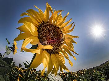 Am Dienstag wird es nochmal heiß, abends bilden sich dann einzelne, teils heftige Gewitter. Foto: Federico Gambarini/dpa-Bildfunk