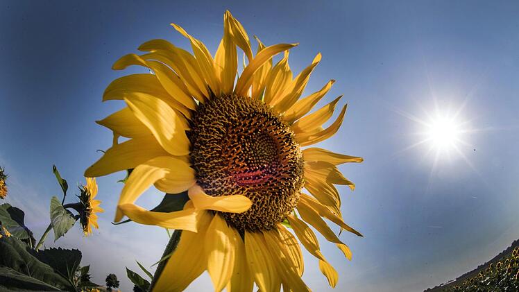 Am Dienstag wird es nochmal heiß, abends bilden sich dann einzelne, teils heftige Gewitter. Foto: Federico Gambarini/dpa-Bildfunk