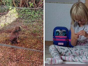 Albertshausen: Gestohlenes Haustier von 7-J&auml;hriger pl&ouml;tzlich wieder da - Mutter &auml;u&szlig;ert Verdacht