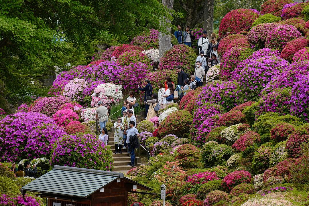 Fr&uuml;hling in Japan