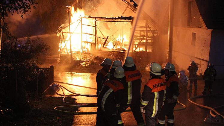 Foto: News5 / Fricke
