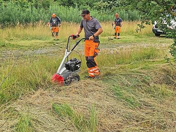 Schonend mit dem Balkenm&auml;her bearbeitet Peter Kern in Mitwitz die Wiesenfl&auml;chen. &bdquo;Die Mitarbeiter des Bauhofes stehen hinter dem M&auml;hkonzept&ldquo;, sagt B&uuml;rgermeister Oliver Plewa.