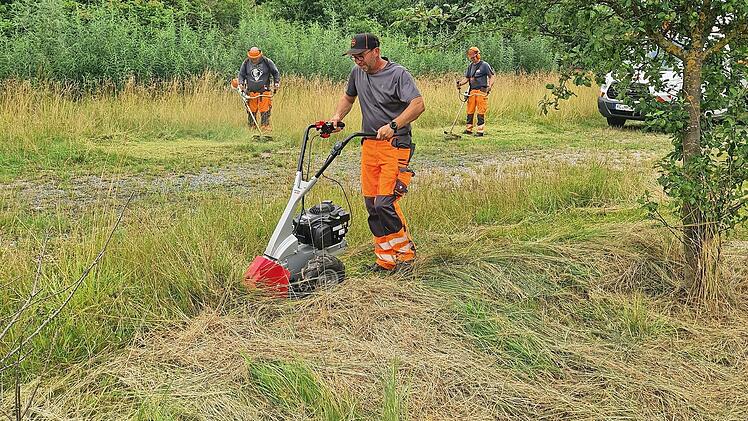 Schonend mit dem Balkenm&auml;her bearbeitet Peter Kern in Mitwitz die Wiesenfl&auml;chen. &bdquo;Die Mitarbeiter des Bauhofes stehen hinter dem M&auml;hkonzept&ldquo;, sagt B&uuml;rgermeister Oliver Plewa.
