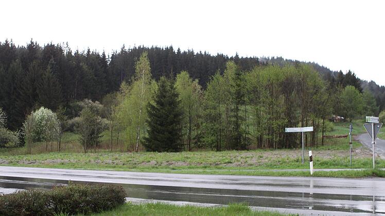 Hier am südlichen Stadtrand von Wallenfels sollen die Voraussetzungen für ein Gewerbegebiet geschaffen werden. Michael Wunder