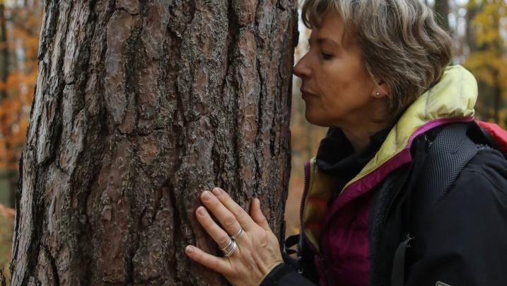 Bei seelischen Störungen wird zu Bewegung an der frischen Luft geraten. Wer nicht alleine losziehen mag, kann es mit geführtem Waldbaden versuchen : Bäume "umarmen" tut der Seele gut.  Foto: Barbara Herbst