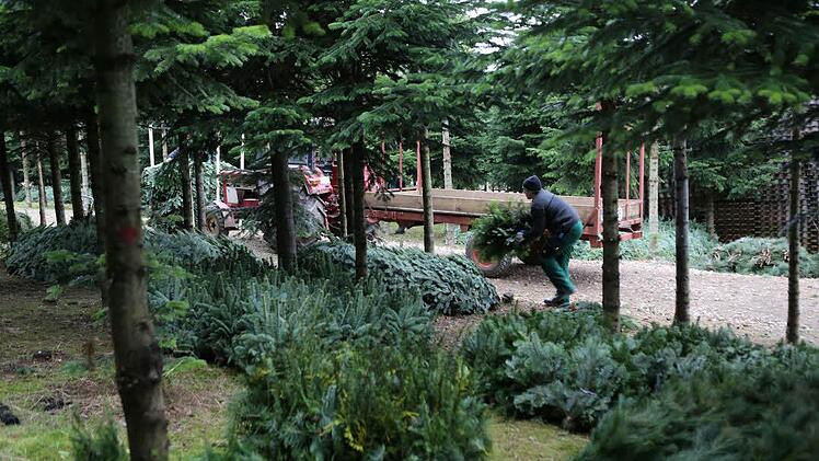 Foto: Barbara Herbst