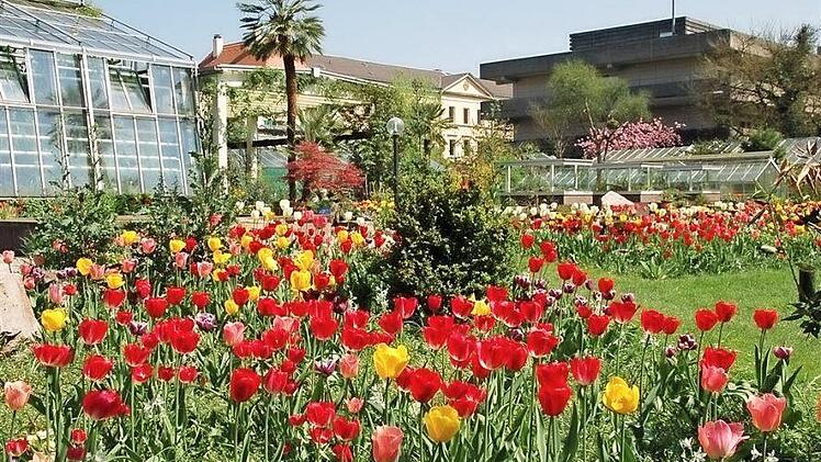 Frühling vorm Erlanger Tropenhaus. Foto: Botanischer Garten der FAU.