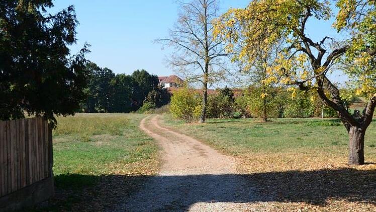 Auf der freien  Fläche links des Weges soll ein kleines Wohngebiet entstehen.  Die angrenzenden Nachbarn sind darüber nicht erfreut.  Die Obstbaumwiese rechts soll  erhalten bleiben.    Foto: Bernhard Panzer