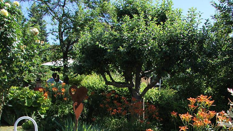 Faulhaber Kleiner Bach Foto: Alexandra Kemnitzer