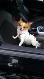 Foto:  Svenja18