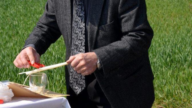 Hans Ott zeigt wie es richtig geht, das Spargelschälen  Foto: Andrea Spörlein