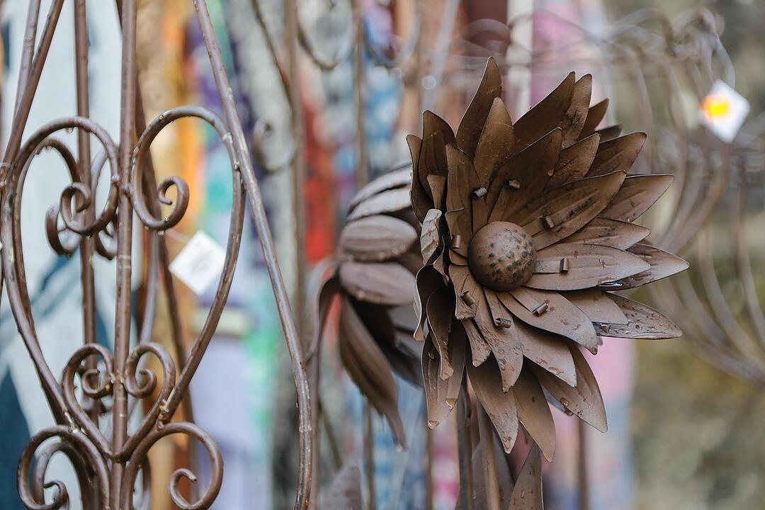 Rosen & Garten Messe Kronach im September