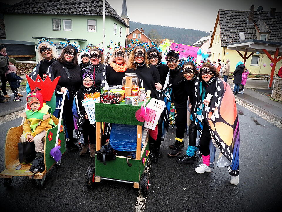 Fasching 2024 in Steinach