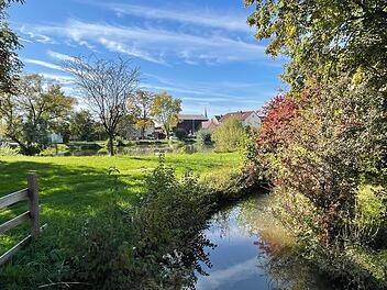 Hier l&auml;uft der M&uuml;hlbach in den &bdquo;Dorfsee&ldquo; (im Hintergrund) ein. An dieser Stelle k&ouml;nnte der Wasserspielplatz entstehen.