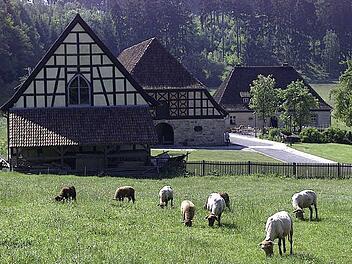 Auf dem Gelände der Alten Schäferei in Ahorn befinden sich auch die Schäferstuben.Foto: CT-Archiv/Klaus Wöhner