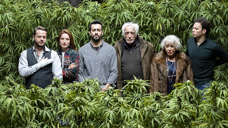 In "Joint Venture" geht es um genau das, was der Titel vermuten lässt: Joints, Marihuana und das ganz große Geld.