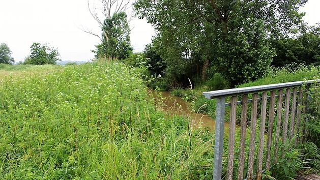 Bei M&uuml;hlhausen soll eine Ausgleichsfl&auml;che ein Biotop f&uuml;r St&ouml;rche werden.