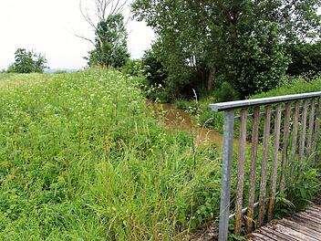 Bei Mühlhausen soll eine Ausgleichsfläche ein Biotop für Störche werden.