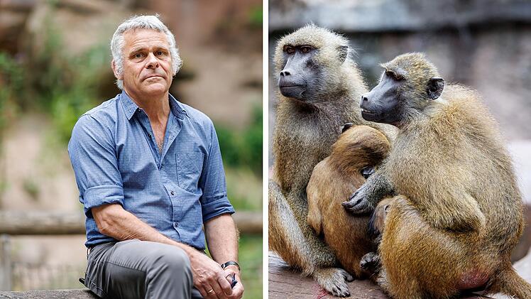 Tiergarten-Direktor rechnet mit weiterer T&ouml;tung von Tieren