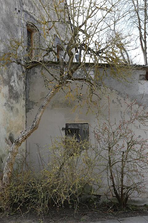 Frimmersdorf C-Ausgabe