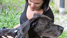 Anja Veh mit der achtj&auml;hrigen Dogge Josie Foto: privat